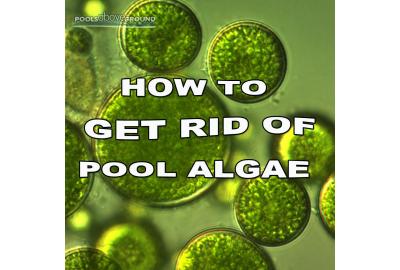 Swimming Pool Algae